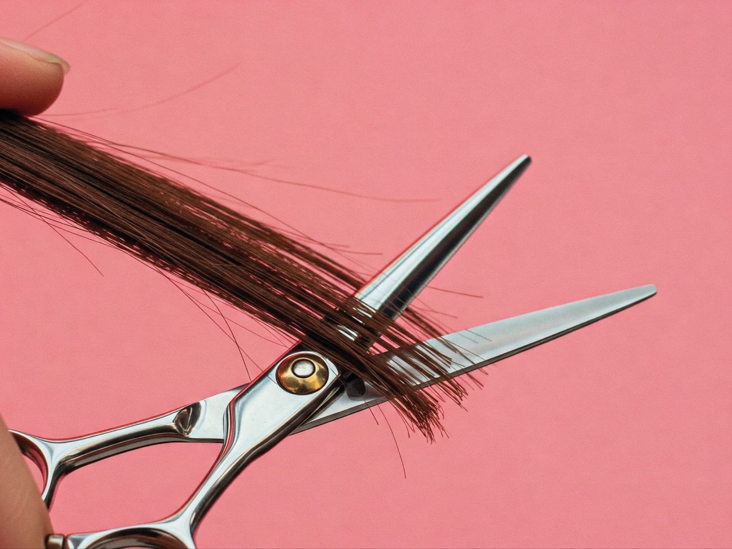 Hair cut Trim End